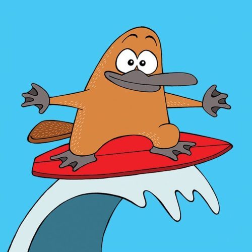 dacks-on-surfer-card